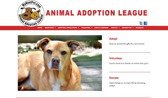 Animal Adoption League Website